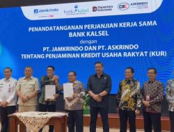 Bank Kalsel Perpanjang Kerjasama Penjaminan KUR dengan Jamkrindo dan Askrindo