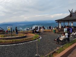 Dishut Kalsel Bersama Diskominfo Kalsel Rencanakan Penguatan Jaringan Internet di Tahura Sultan Adam