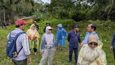 Dishut Kalsel Rencanakan Penanaman Mangrove Di Desa Sabuhur Kabupaten Tanah Laut