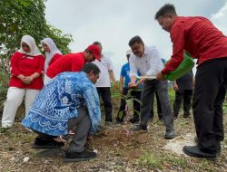 Ratusan Batang Pohon Di Tanan  Dikawasan Perkantoran Pemrov Kalsel