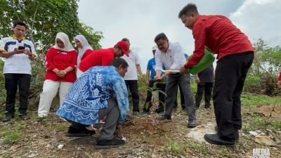 Ratusan Batang Pohon Di Tanan  Dikawasan Perkantoran Pemrov Kalsel