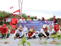 Semarakan HUT Kalsel Ke-75 Dan RI Ke-80, Dinas Pertanian Tanam 50 Ribu Bibit Lombok Di Bukit Merangkul