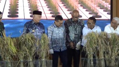 Padi Apung dan Kampung Haruan Jadi Andalan Kalsel Kendalikan Inflasi
