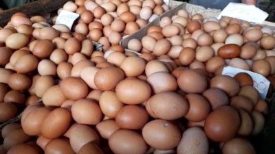Program Makan Bergizi Gratis Dongkrak Permintaan Hintalu