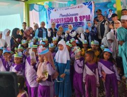 Ketua TP Posyandu Kalsel Dorong Penguatan 6 SPM di Desa Mandiangin Barat