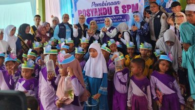 Ketua TP Posyandu Kalsel Dorong Penguatan 6 SPM di Desa Mandiangin Barat
