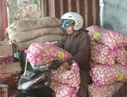 Harga Bawang Habang dan Putih di Banjarmasin Melonjak Jelang Nataru, Pedagang Sebut Dipicu Cuaca dan Distribusi
