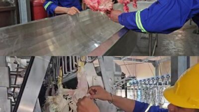 RPU Modern Banjarmasin Segera Disosialisasikan, DKP3 Ajak Pelaku Usaha Optimalkan Pemanfaatan Fasilitas