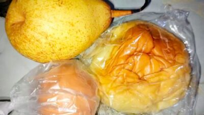 MBG Ramadan Disorot! Orang Tua Nilai Minim Protein, Korwil Buka Suara Soal Anggaran & Menu