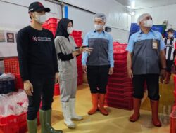 Belajar ke Malang! Petugas RPH Banjarmasin Siap Terapkan Standar RPU Modern