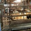 Jelang Idul Adha, 500 Sapi Kurban di Banjarmasin Ludes Terjual