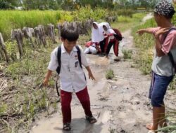 Rp3,1 Miliar gasan Pengawasan Sekolah, Jalan ke SDN Basirih 10 Masih Licin wan Berlumpur