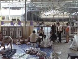 17 Sapi Kurban Masjid Ar Rahim Disembelih di Kampung Inggris Batola
