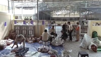 17 Sapi Kurban Masjid Ar Rahim Disembelih di Kampung Inggris Batola