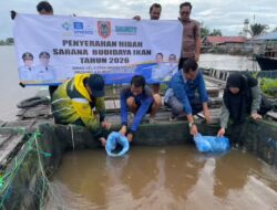 Haruan Kalsel Siap Kuasai Pasar, Pemprov Genjot Produksi Lewat Haruan Estate