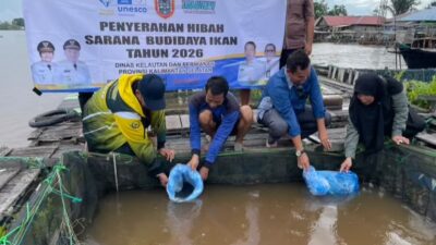 Haruan Kalsel Siap Kuasai Pasar, Pemprov Genjot Produksi Lewat Haruan Estate