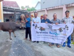 PWI Kalsel Rayakan Idul Adha dengan Menyembelih Tiga Sapi Kurban