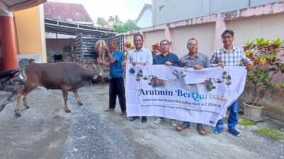 PWI Kalsel Rayakan Idul Adha dengan Menyembelih Tiga Sapi Kurban