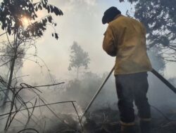 Puluhan Hektare Terbakar, BPBD Kalsel Berjibaku Lawan Api di Guntung Damar