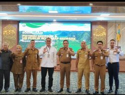 Bukan Cuma Pantai! Kotabaru Punya Potensi Geopark, matan Karst hingga Habitat Bekantan