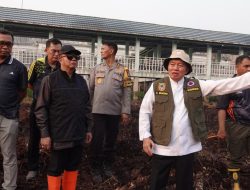Gubernur Muhidin Kerahkan Ekskavator Tangani Bara Karhutla di Sambang Lihum