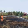 BPBD Catat 71 Kejadian Karhutla di Banjarmasin, Posko Siaga Beroperasi 24 Jam