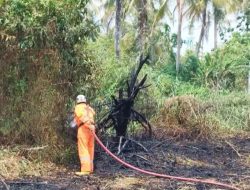 Banjarmasin Catat 71 Karhutla, Kada Masuk Penerima Langsung Banpres Rp100 Miliar