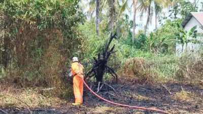 Banjarmasin Catat 71 Karhutla, Kada Masuk Penerima Langsung Banpres Rp100 Miliar